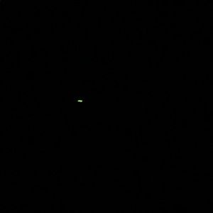 Meet your Posher, Leonardo